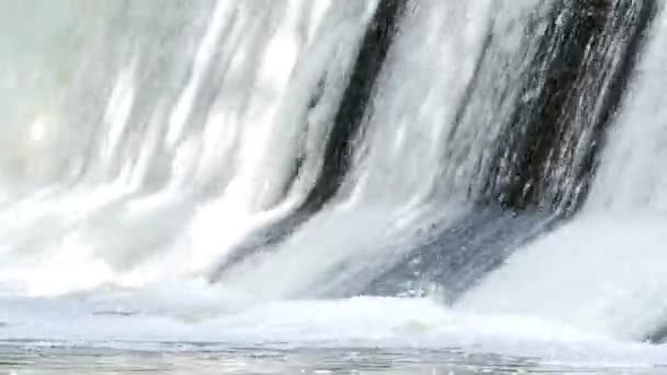 Gezellige en kleine waterval in het Forest. Stroom van Water valt op een prachtige locatie. — Stockvideo