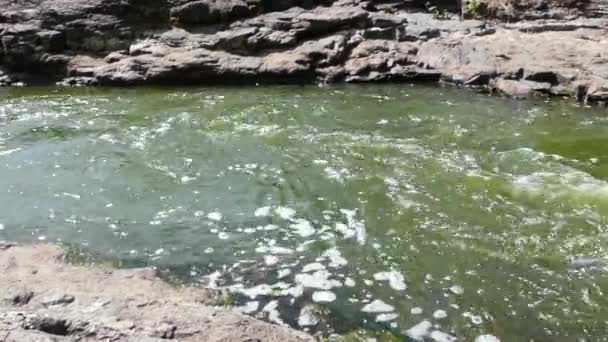 Rough and Rapid Stream of a Mountain River. la Textura del Agua . — Vídeos de Stock