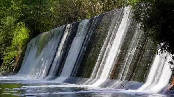 Mysig och små vattenfall i skogen. Ström av vatten faller på en vacker plats. — Stockvideo