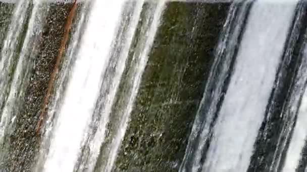 Cascada acogedora y pequeña en el bosque. Corriente de cascadas de agua en una hermosa ubicación . — Vídeos de Stock