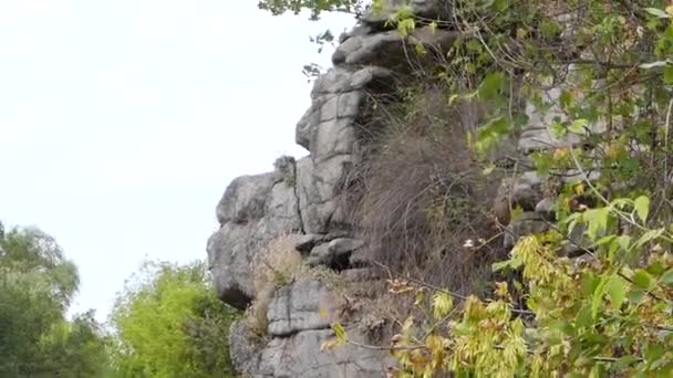 Nature of Ukraine. Canyon in Buki. — Stock Video