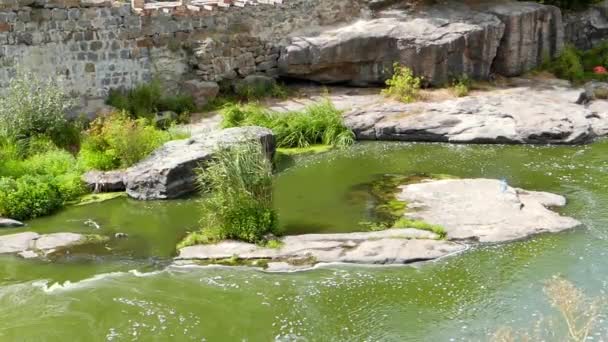 Naturen av Ukraina. Canyon i Buki. — Stockvideo