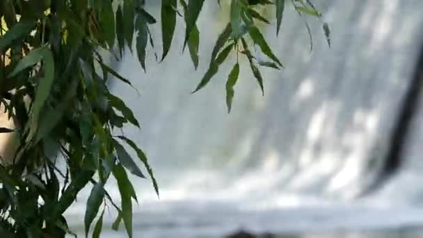 フォレスト内の居心地の良い、小さな滝。河川の水が美しい場所に落ちる. — ストック動画