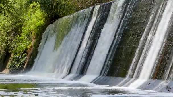 Cascadă confortabilă și mică în pădure. Stream of Water Falls într-o locație frumoasă . — Videoclip de stoc