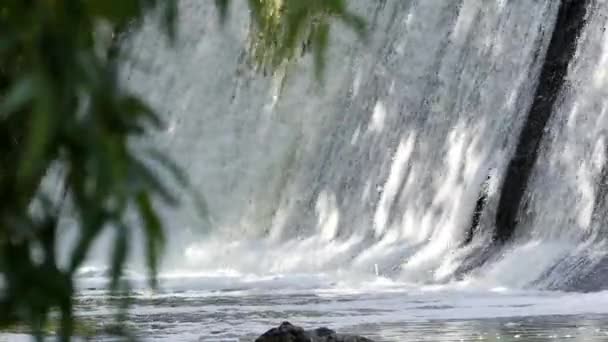 Cascada acogedora y pequeña en el bosque. Corriente de cascadas de agua en una hermosa ubicación . — Vídeo de stock