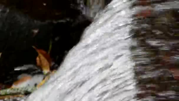 O fluxo de água supera obstáculos . — Vídeo de Stock