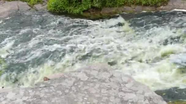 粗糙和快速流的一条山涧河流。水的质地. — 图库视频影像