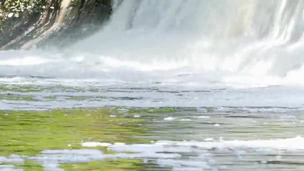 Accogliente e piccola cascata nella foresta. Flusso di cascate d'acqua in una splendida posizione . — Video Stock