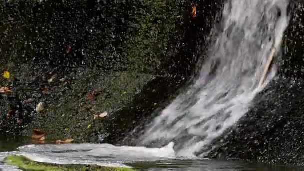 Útulné a malý vodopád v lese. Proud vody padá na krásném místě. — Stock video