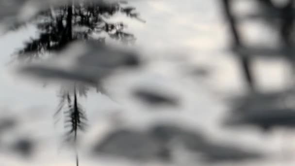 Reflection of Clouds, Sky and Trees on the Surface of the Water. — Stock Video