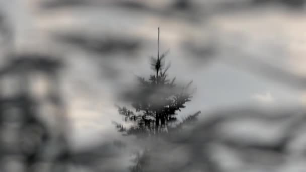 Reflet des nuages, du ciel et des arbres à la surface de l'eau . — Video