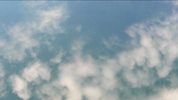 Odbicie, chmury, niebo i drzewa na powierzchni wody. — Wideo stockowe