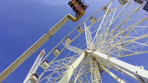 Amusement Park. Spinning Ferris wheel — Stock Video