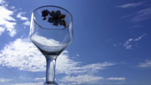 Sklenice na víno a modrá obloha. Časová prodleva. — Stock video