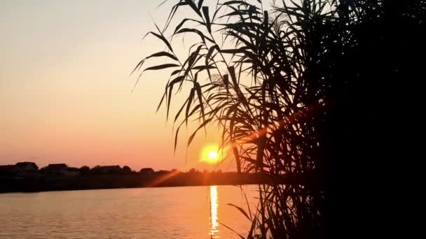 Sonnenuntergang am See. — Stockvideo