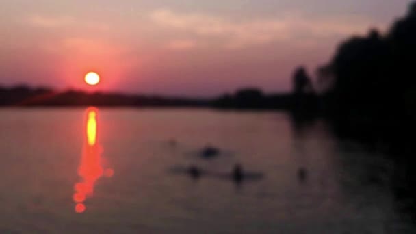 Sunset in the lake. — Stock Video