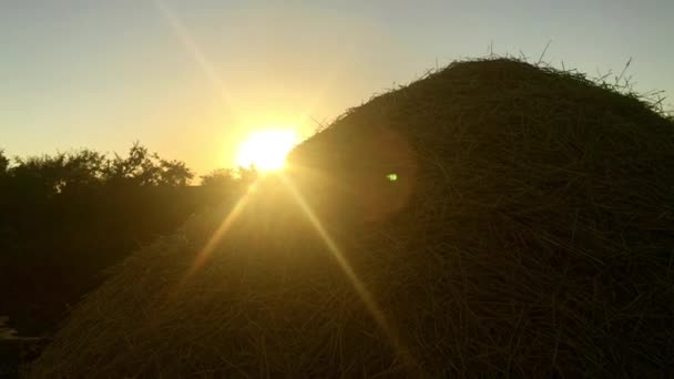 Dos grandes palheiros você pode ver o raio do sol . — Vídeo de Stock