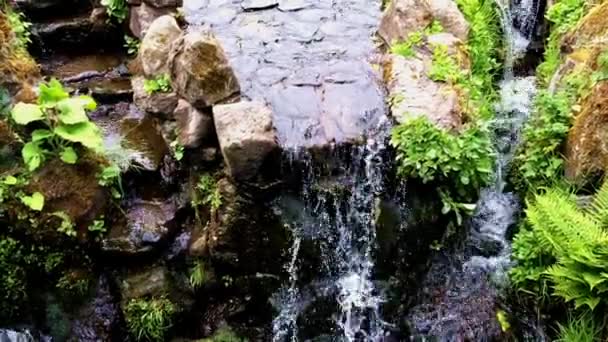 Waterval in het bos. — Stockvideo