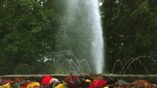 Fontaine dans le parc aux fleurs . — Video