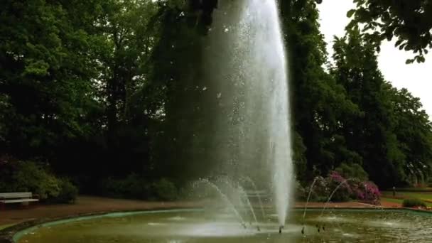 Красивый водный фонтан в парке. — стоковое видео