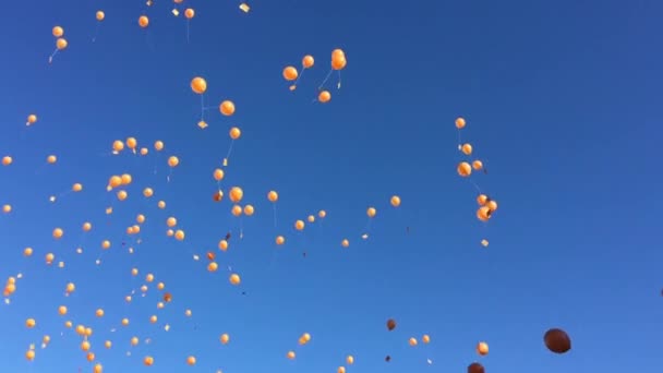 Mavi gökyüzünde turuncu balonlar. — Stok video