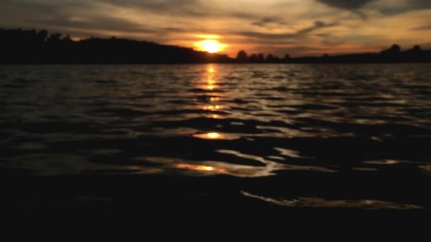 일몰에 호수에 작은 파도. 물에 파문. — 비디오