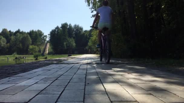 Chica montando en la bicicleta en el parque . — Vídeos de Stock