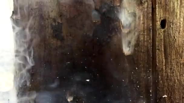 Roken in het hout. Slow motion. — Stockvideo