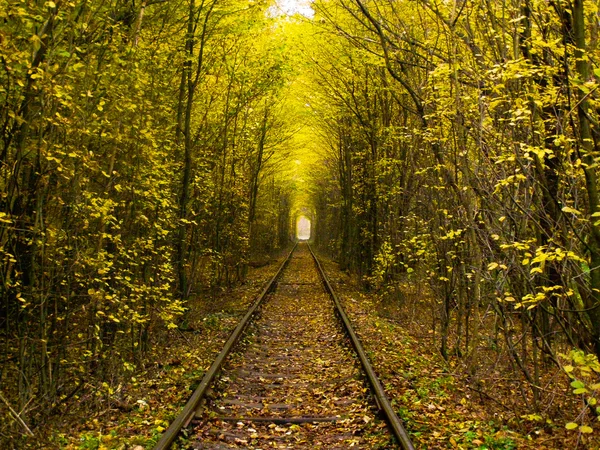 Жовта осінь і романтична залізниця . — стокове фото