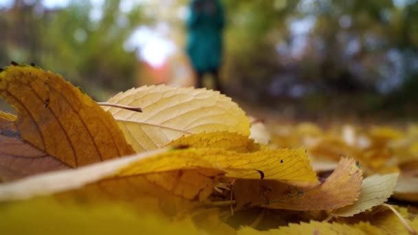 Gelbes Mädchen mit blauer Tablette im Park. — Stockvideo