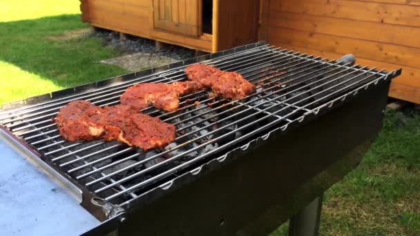 Szaftos steak főzés a grill. — Stock videók