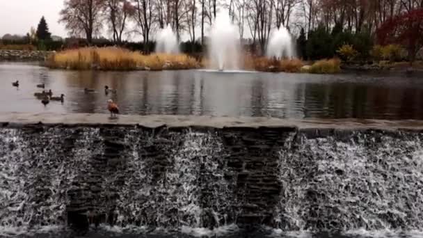 Schöner Brunnen im Park. ein kaskadenartiger Wasserfall. — Stockvideo