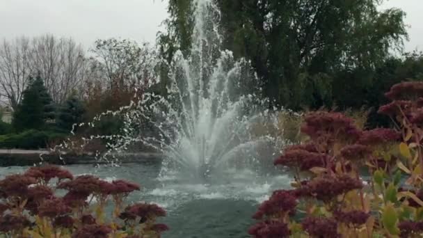 Piękny nowoczesny fontanna na jeziorze. Zwolnionym tempie efekt. — Wideo stockowe