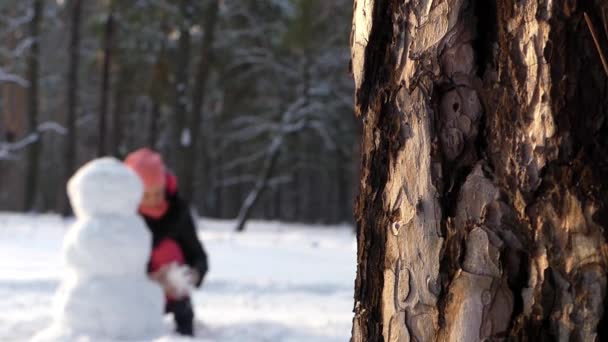 Το κορίτσι φτιάχνει χιονάνθρωπος το χειμώνα στο δάσος. — Αρχείο Βίντεο