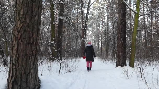 Winter forest in which walks the girl. Rear view. — 图库视频影像