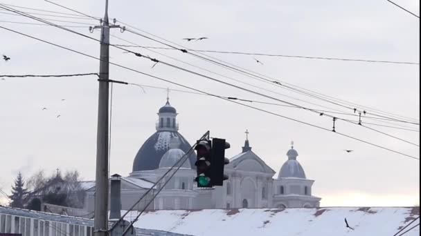 Oiseaux volant sur le fond de l'ancienne cathédrale . — Video