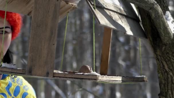 Girl pour the grain into the feeder for birds in the winter. — Stock Video