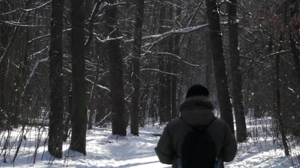 Ein Mann mit Rucksack läuft den verschneiten Waldweg entlang. Es schneit. — Stockvideo