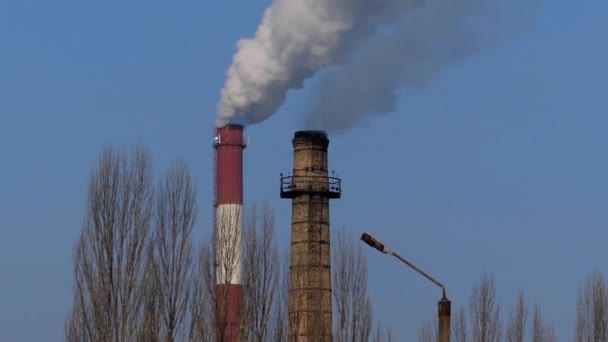 Dos pipas de humo . — Vídeos de Stock