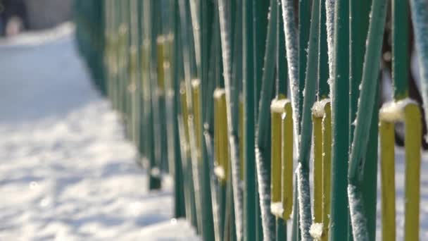 Grüner Metallzaun im Winter an einem sonnigen Tag. — Stockvideo