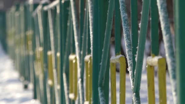 Grüner Metallzaun im Winter an einem sonnigen Tag. — Stockvideo