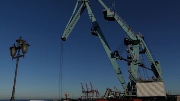 La grande grue dans le port maritime . — Video