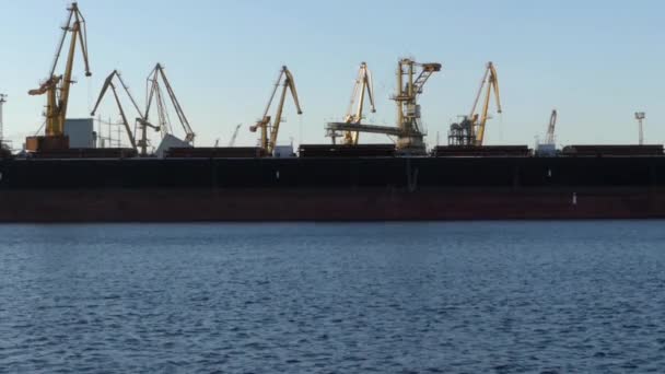 Unloading cargo ship in the port with large cranes. — Stock Video