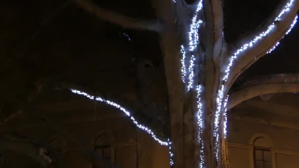 Білі гірлянди звисають на деревах і світяться вночі . — стокове відео