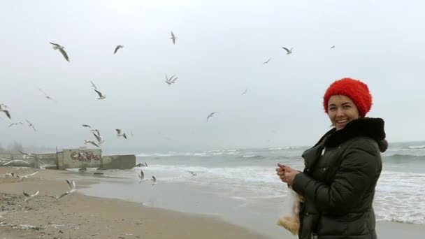 Chica en la playa alimentando a las gaviotas con pan. Acción en cámara lenta . — Vídeo de stock