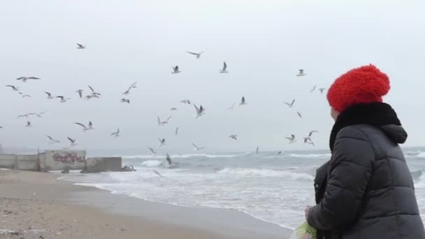 갈매기에 게 빵을 먹이 해변에 여자입니다. 슬로우 모션 액션. — 비디오