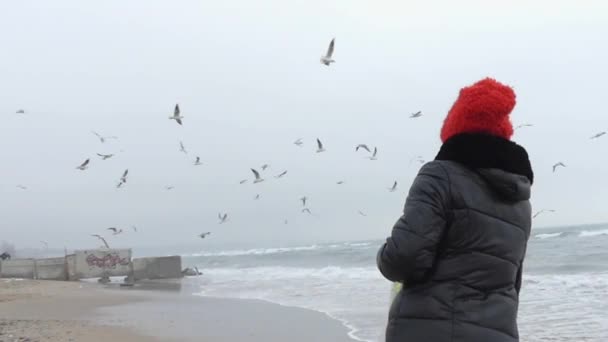 갈매기에 게 빵을 먹이 해변에 여자입니다. 슬로우 모션 액션. — 비디오