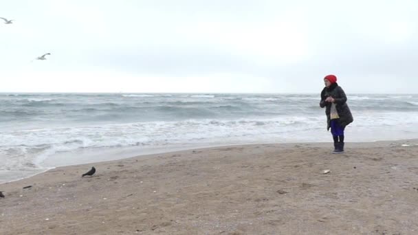 Chica en la playa alimentando a las gaviotas con pan. Acción en cámara lenta . — Vídeos de Stock