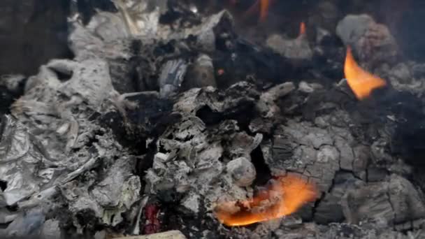 Wood embers burn in real time. — Stock Video