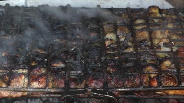 Koken kebabs op de grill en op de kolen. — Stockvideo